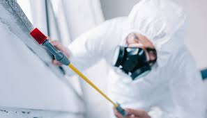 Best Commercial Pest Control  in Choteau, MT